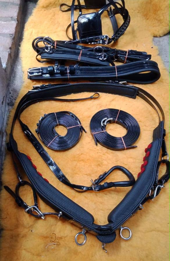 SYNTHETIC HARNESS